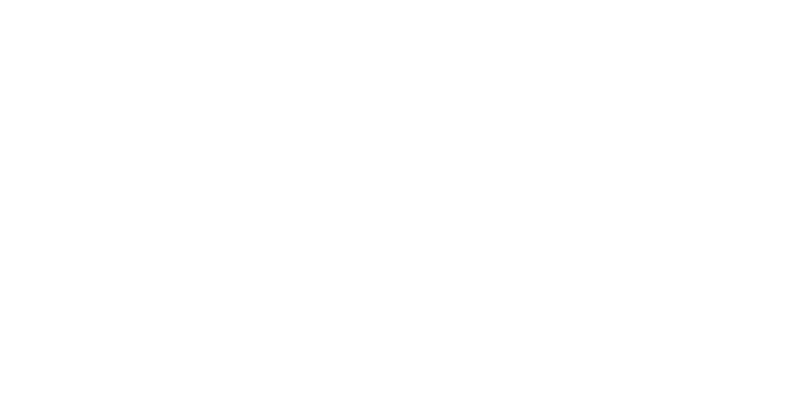 Spirit Airlines