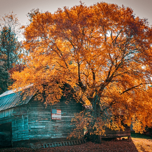 Fall Barn