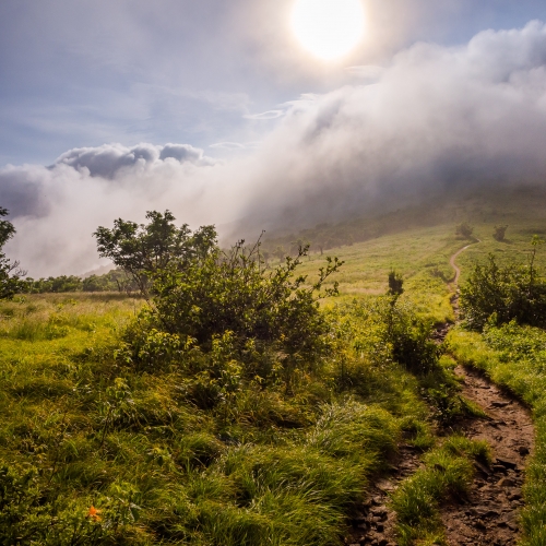 A Wall of Fog Clouds