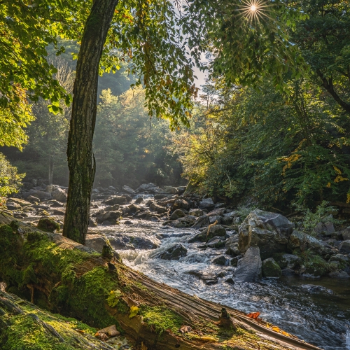 Down By The River