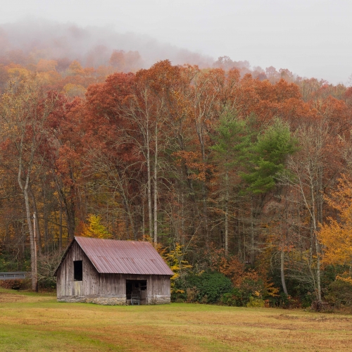 Autumn at the Barn