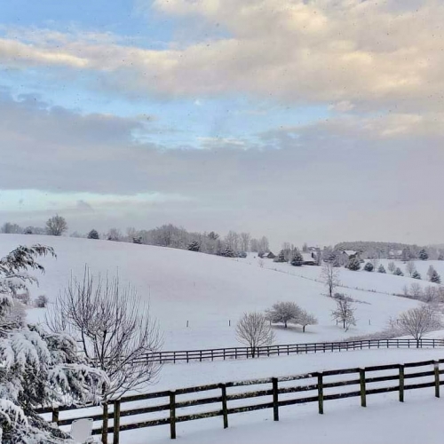 Alleghany in the White