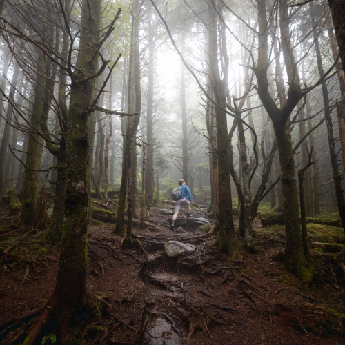 A Walk Through the Misty Mountains