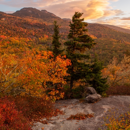 Grandfather Mountain Splendor