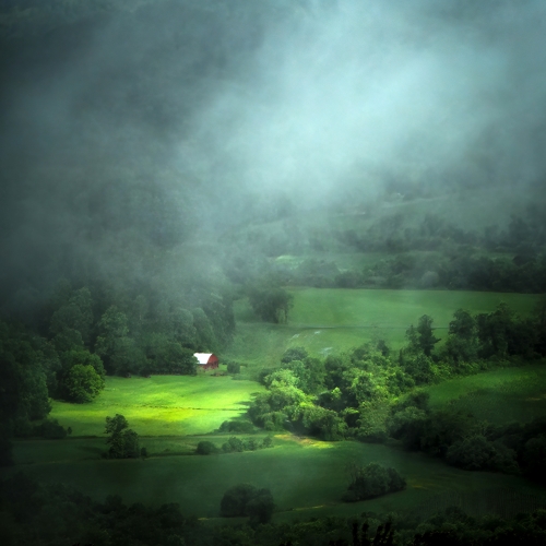 Foggy Morning