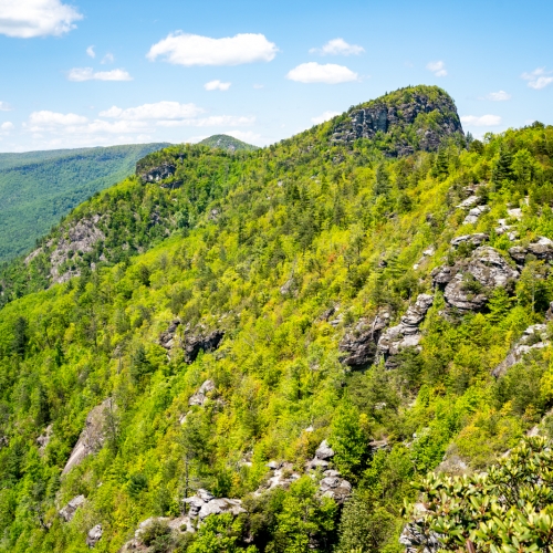 Blue Ridge In Green